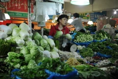 FDI và ODI của Trung Quốc đều tăng trong tháng Hai năm nay