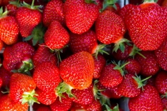 Ảnh minh họa. (Nguồn: AFP/TTXVN) 