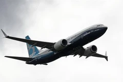 Máy bay Boeing 737 Max. (Nguồn: AFP/TTXVN) 