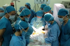 Ảnh minh họa. (Nguồn: TTXVN)