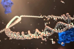 Tia hy vọng mới cho những người mắc bệnh ung thư