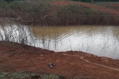 Ảnh minh họa. (Nguồn: TTXVN)