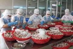 Người tiêu dùng Pháp sẽ hưởng lợi khi lựa chọn hàng Việt Nam