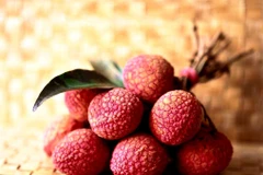 (Nguồn: Đẹp/Vietnam+)