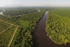 Các công ty Indonesia áp dụng nhiều sáng kiến phát triển bền vững