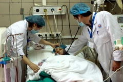 (Ảnh minh họa: Dương Ngọc/TTXVN)