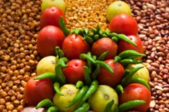 Ảnh minh họa. (Nguồn: thisischile.cl)