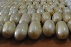 Costa Rica bắt giữ đối tượng giấu hơn 100 gói cocain trong bụng