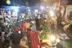 Hàng nghìn người đổ về lễ hội chợ đình Bích La