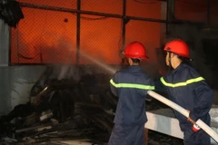 (Ảnh minh họa: Duy Hưng/TTXVN)