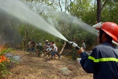 Một số khu vực ở Sơn La có nguy cơ cháy rừng cấp cao nhất