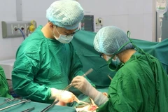 (Ảnh minh họa: Phương Vy/TTXVN)