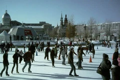 Ảnh minh họa. (Nguồn: ratestogo.com)