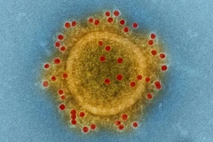 Ảnh minh họa. (Nguồn: sciencenews.org)