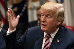 Tổng thống Mỹ Donald Trump trong một cuộc họp tại Washington ngày 31/10. (Nguồn: FP/TTXVN)