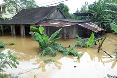 (Ảnh minh họa: Thanh Thủy/TTXVN)