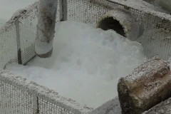 Hệ thống nước thải của Công ty Liên doanh Medevice 3S chưa được xử lý tốt, không đảm bảo các tiêu chuẩn đã đổ thẳng ra môi trường gây ô nhiễm. (Ảnh: Đậu Tất Thành/TTXVN)