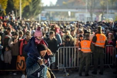 Người di cư tại khu vực biên giới Slovenia-Áo ngày 3/11. (Nguồn: AFP/TTXVN)