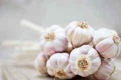 Những thực phẩm giải độc tố hữu hiệu cho cơ thể