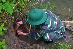 Lực lượng của Ban Công binh, Bộ Chỉ huy Quân sự tỉnh Yên Bái tiến hành xử lý quả bom. (Nguồn: TTXVN) 