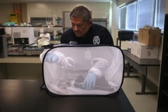 Chuyên gia y tế môi trường nghiên cứu muỗi truyền bệnh Zika, tại Texas (Mỹ) ngày 14/4. (Nguồn: AFP/TTXVN)