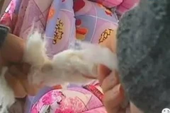 (Nguồn: Chinadaily)