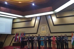 Các đại biểu dự Cuộc họp lần thứ 19 Ủy ban hợp tác chung ASEAN-Ấn Độ (AIJCC). (Nguồn: Phái đoàn Việt Nam tại ASEAN) 