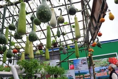 Trung Quốc sẽ tăng cường hỗ trợ ngành nông nghiệp