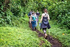 Ảnh minh họa. (Nguồn: africanquarters.com)