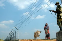 Dân tại vùng tranh chấp Ấn Độ-Bangladesh được chọn quốc tịch