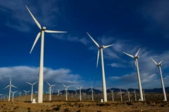 Ảnh minh họa. (Nguồn: THX/TTXVN)