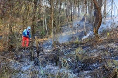 Việc người dân tự ý đốt thảm thực vật khô, lá khô ngay trong khu vực rừng khiến lửa lây lan nhanh rất khó kiểm soát. (Ảnh: Xuân Tư/TTXVN)