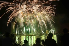 (Ảnh minh họa: Trần Lê Lâm/TTXVN) 