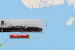 Trong số người bị bắt cóc có 18 người Ấn Độ và 1 người Thổ Nhĩ Kỳ. Ngoài ra, 7 thủy thủ vẫn đang trên tàu. (Nguồn: fleetmon.com) 