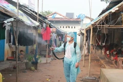 Phun thuốc diệt muỗi. (Ảnh: Dương Chí Tưởng/TTXVN)