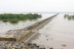 Siêu bão sẽ xuất hiện nhiều ở Biển Đông trong tương lai