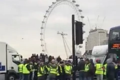Những người ủng hộ Brexit trên cầu Westminster. (Nguồn: Twitter) 