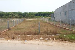 Ảnh minh họa. (Nguồn: TTXVN) 