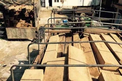 (Ảnh minh họa: Phạm Cường/TTXVN)