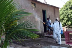 Phun thuốc diệt muỗi phòng tránh lây nhiễm virus zika tại Gama, Brazil. (Nguồn: AFP/TTXVN)