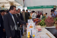 Doanh nghiệp Việt Nam tăng cường thâm nhập thị trường Campuchia