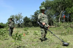 Bộ đội công binh rà phá bom mìn tại Quảng Trị. (Ảnh: Trọng Đức/TTXVN)