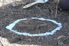 Hài cốt được cho là của một binh sỹ Hàn Quốc tử trận trong Chiến tranh Triều Tiên 1950-1953 được tìm thấy tại Khu phi quân sự (DMZ) ở biên giới hai miền Triều Tiên, ngày 24/10/2018. (Nguồn: YONHAP/TTXVN) 