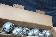 (Nguồn: rappler.com)