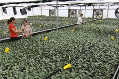 Ngăn chặn việc thu gom gen quý của tư thương nước ngoài