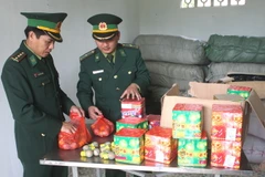 (Ảnh minh họa: Trọng Đức/TTXVN)