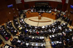 Toàn cảnh một phiên họp của Thượng viện Mexico tại Mexico City. (Nguồn: AFP/TTXVN) 