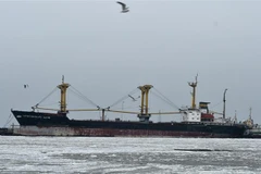 Tàu Vyacheslav ilvin thả neo gần khu cảng mới trong quần thể công trình xây dựng cảng biển Mariupol trên Biển Azov, phía Đông Ukraine ngày 2/12/2018. (Nguồn: AFP/TTXVN) 