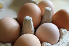 Ảnh minh họa. (Nguồn: broadsheet.com.au) 