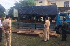 (Ảnh minh họa: Quốc Việt/TTXVN)